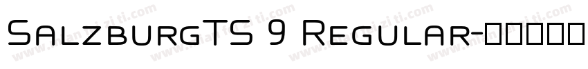SalzburgTS 9 Regular字体转换